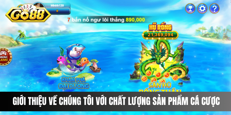 Giới thiệu về chúng tôi với chất lượng sản phẩm cá cược