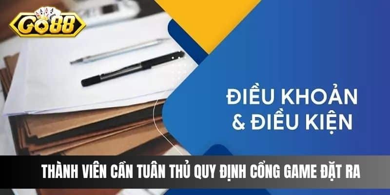 Thành viên cần tuân thủ quy định cổng game đặt ra 